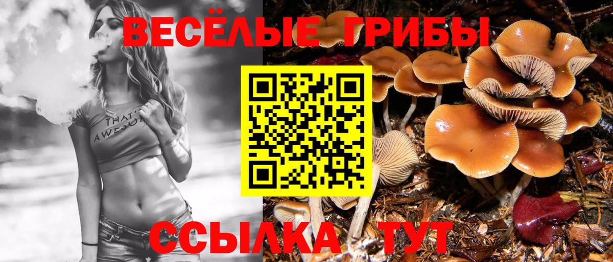 Псилоцибиновые грибы Magic Shrooms Похвистнево